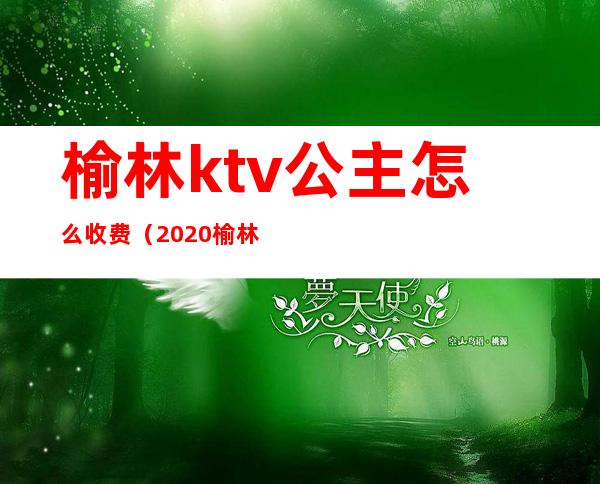 榆林ktv公主怎么收费（2020榆林哪里ktv有公主）