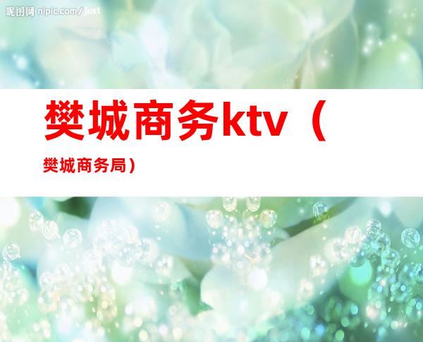 樊城商务ktv（樊城商务局）