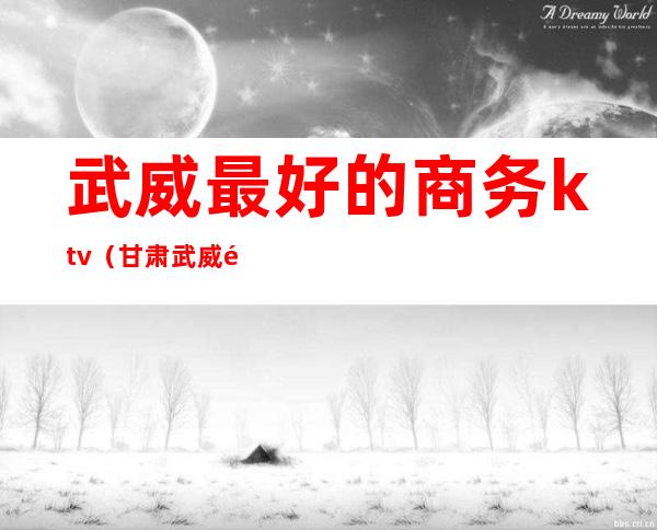 武威最好的商务ktv（甘肃武威酒店四星级）