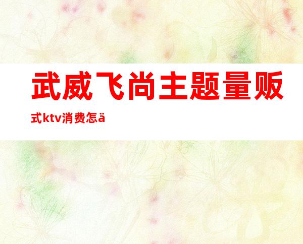 武威飞尚主题量贩式ktv消费怎么样（）