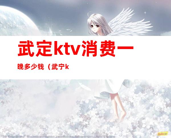 武定ktv消费一晚多少钱（武宁ktv在哪里查价格）