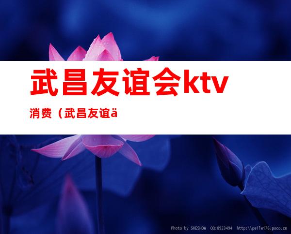 武昌友谊会ktv消费（武昌友谊会ktv消费多少）