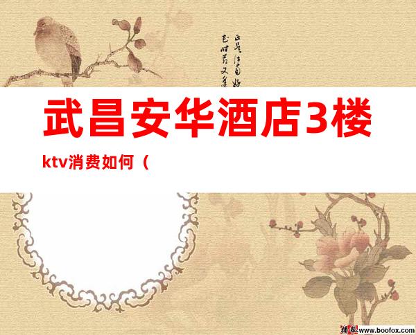 武昌安华酒店3楼ktv消费如何（武汉安华酒店ktv好玩吗）