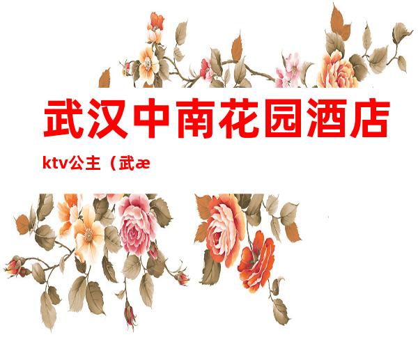 武汉中南花园酒店ktv公主（武汉 汉口 ktv 公主）