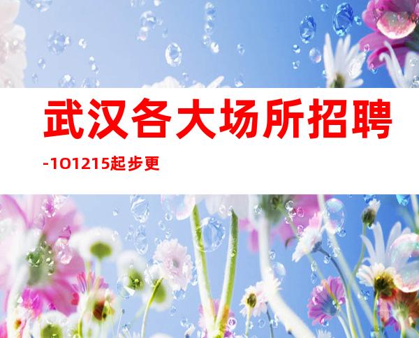 武汉各大场所招聘-1O.12.15起步更高商务KTV招聘