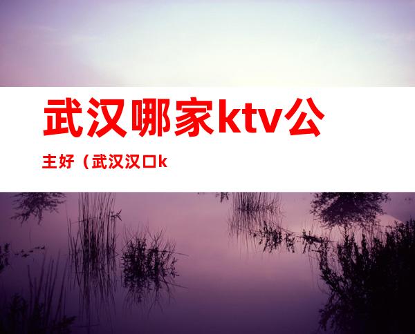 武汉哪家ktv公主好（武汉 汉口 ktv 公主）