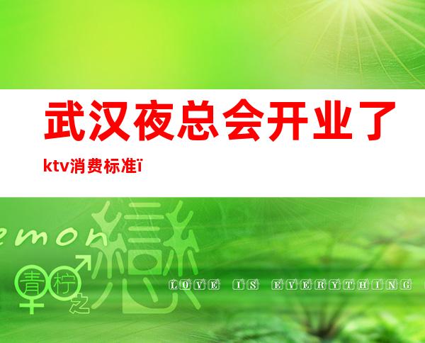 武汉夜总会开业了ktv消费标准（武汉商务ktv哪家夜总会最好）