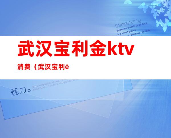 武汉宝利金ktv消费（武汉宝利金ktv消费高吗）