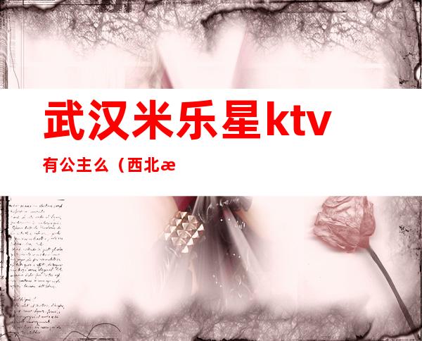 武汉米乐星ktv有公主么（西北湖米乐星ktv电话）