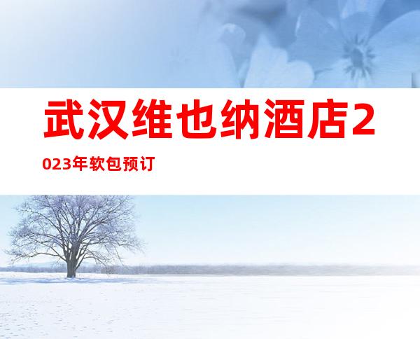 武汉维也纳酒店2023年软包预订真实价格