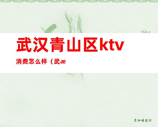 武汉青山区ktv消费怎么样（武汉青山区ktv陪酒）