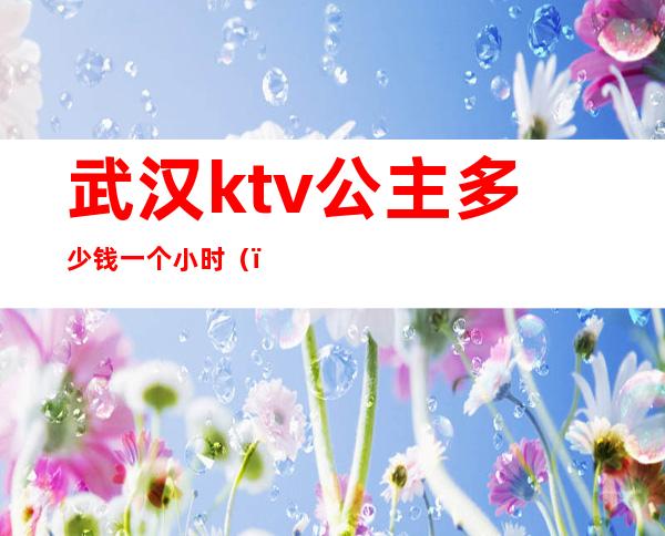 武汉ktv公主多少钱一个小时?（）