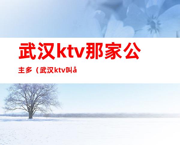 武汉ktv那家公主多（武汉ktv叫公主多少钱过夜）