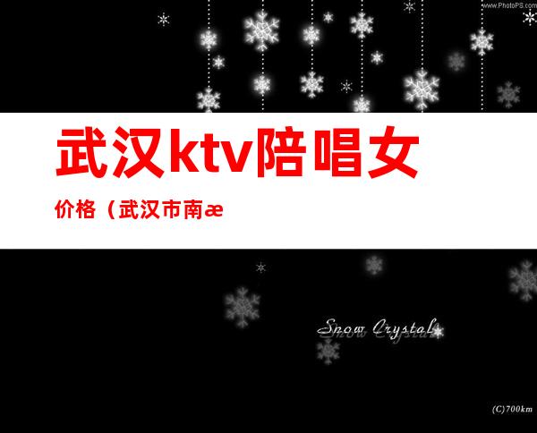 武汉ktv陪唱女价格（武汉市南湖KTV陪唱）