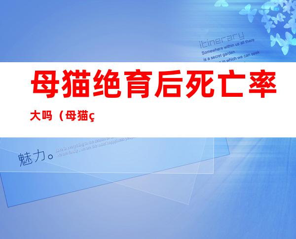 母猫绝育后死亡率大吗（母猫绝育会减少寿命吗）