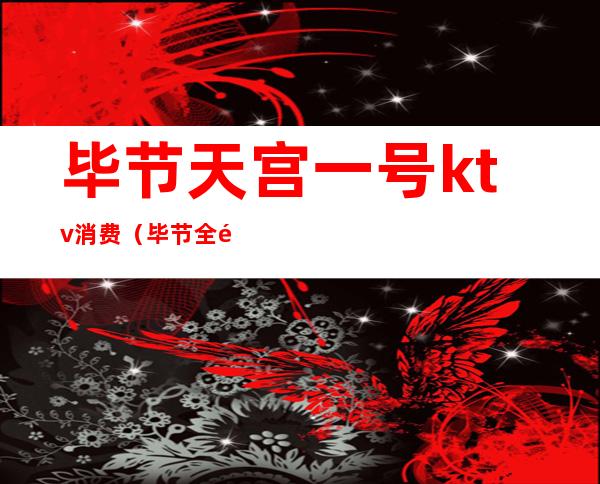 毕节天宫一号ktv消费（毕节全部KTV）