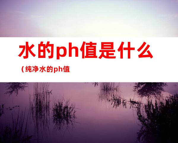 水的ph值是什么（纯净水的ph值是什么）