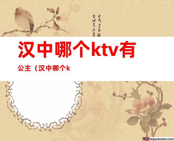 汉中哪个ktv有公主（汉中哪个ktv公主好）