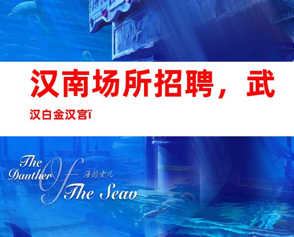 汉南场所招聘，武汉白金汉宫，适合年轻人上班的地方