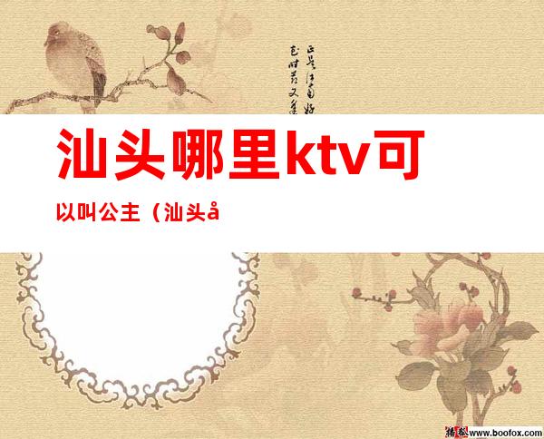 汕头哪里ktv可以叫公主（汕头哪里ktv可以叫公主房）