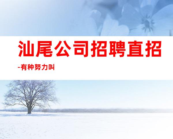 汕尾公司招聘直招-有种努力叫坚持