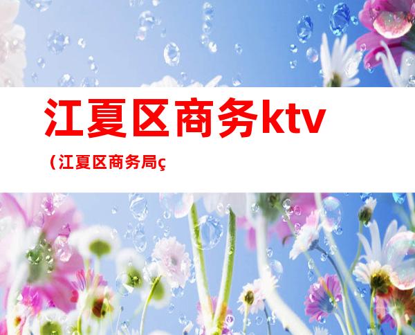 江夏区商务ktv（江夏区商务局班子成员）