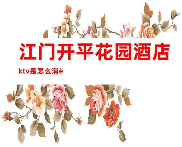 江门开平花园酒店ktv是怎么消费的（）