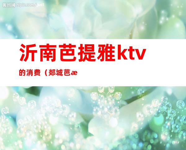 沂南芭提雅ktv的消费（郯城芭提雅ktv价格）