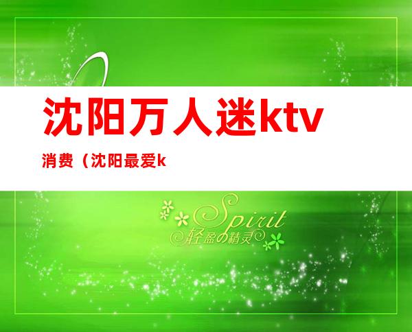 沈阳万人迷ktv消费（沈阳最爱ktv）