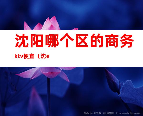 沈阳哪个区的商务ktv便宜（沈阳哪个区的商务ktv便宜点）