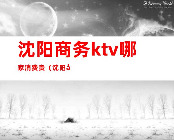 沈阳商务ktv哪家消费贵（沈阳商务ktv便宜）