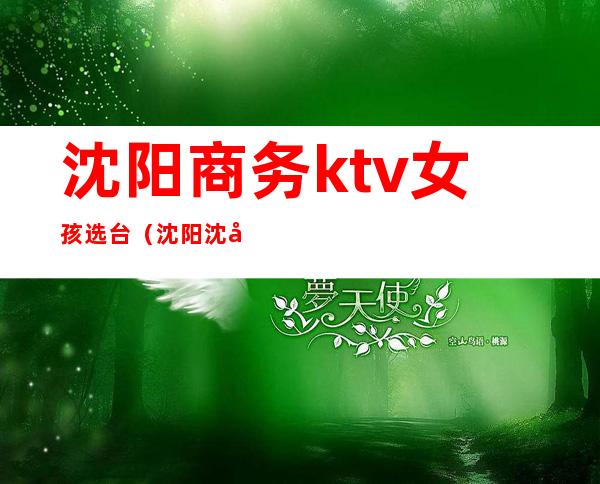 沈阳商务ktv女孩选台（沈阳沈北商务ktv）