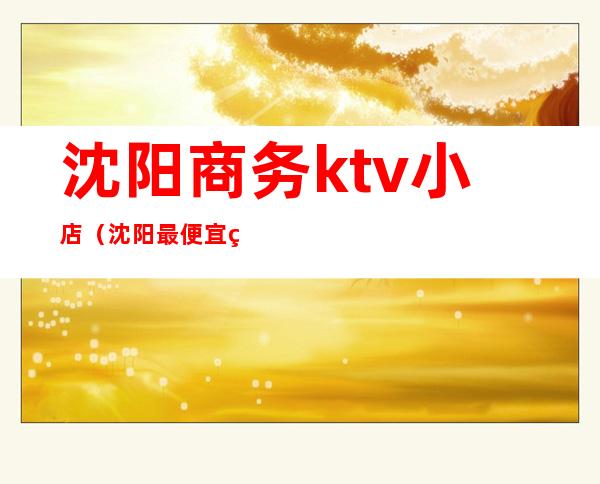 沈阳商务ktv小店（沈阳最便宜的商务KTV）