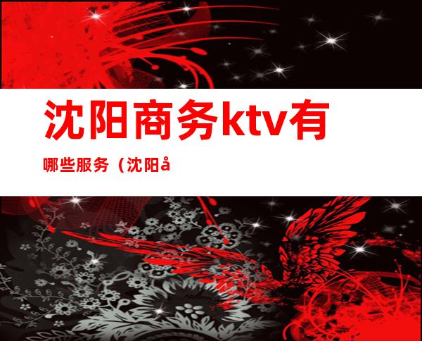 沈阳商务ktv有哪些服务（沈阳商务ktv大全）