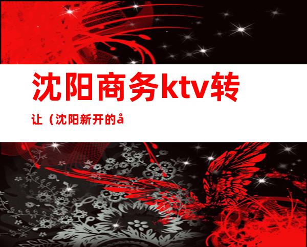 沈阳商务ktv转让（沈阳新开的商务KTV）