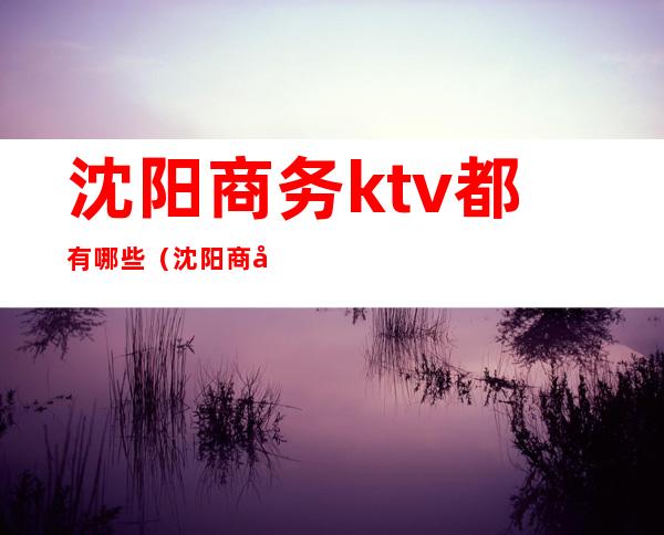 沈阳商务ktv都有哪些（沈阳商务ktv人均多少）