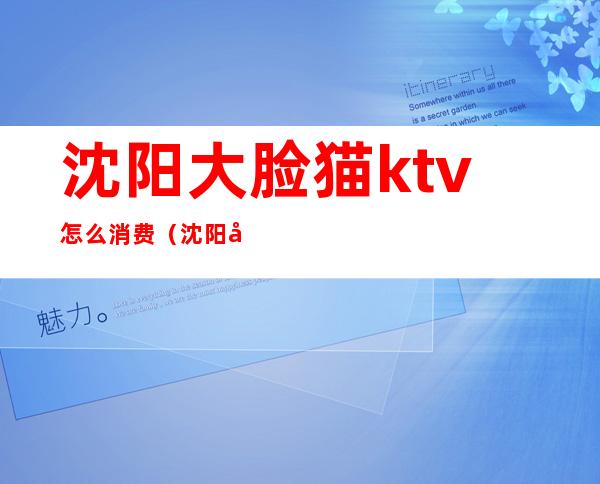 沈阳大脸猫ktv怎么消费（沈阳大脸猫KTV）