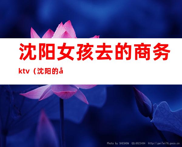 沈阳女孩去的商务ktv（沈阳的女生怎么样）