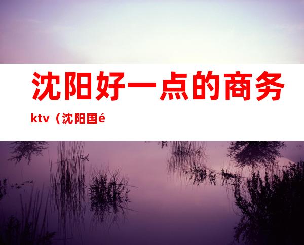 沈阳好一点的商务ktv（沈阳国际商务学校沈北的怎么样）