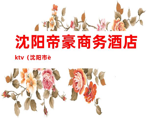 沈阳帝豪商务酒店ktv（沈阳市豪登国际酒店）