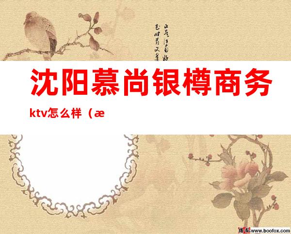 沈阳慕尚银樽商务ktv怎么样（沈阳商务ktv便宜）