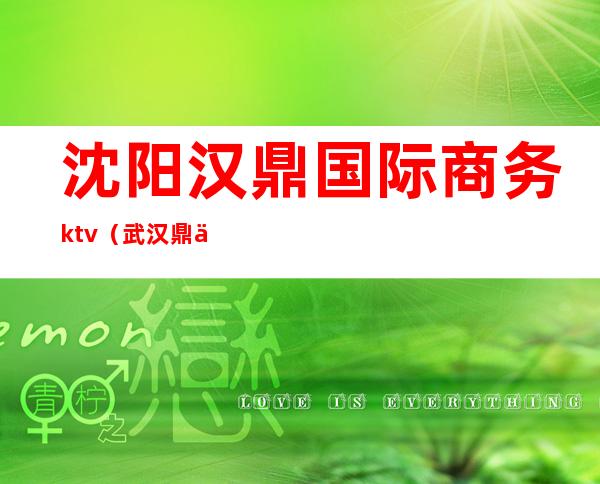 沈阳汉鼎国际商务ktv（武汉鼎业商贸有限公司）