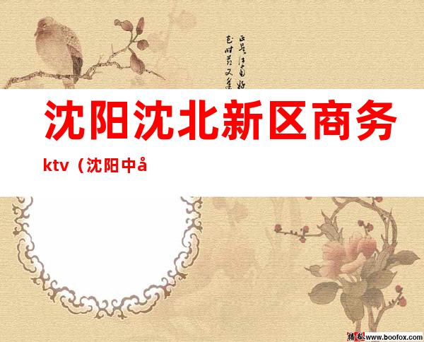 沈阳沈北新区商务ktv（沈阳中央商务区）