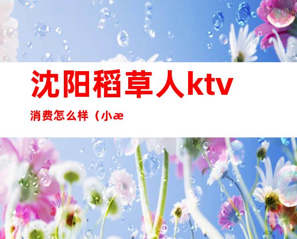 沈阳稻草人ktv消费怎么样（小木屋ktv怎么样）