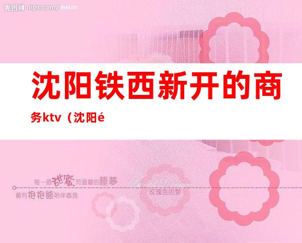 沈阳铁西新开的商务ktv（沈阳铁西区大型企业）