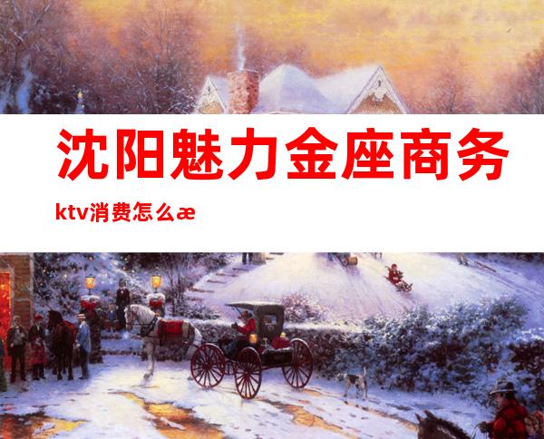 沈阳魅力金座商务ktv消费怎么样（魅力金座ktv多少钱）