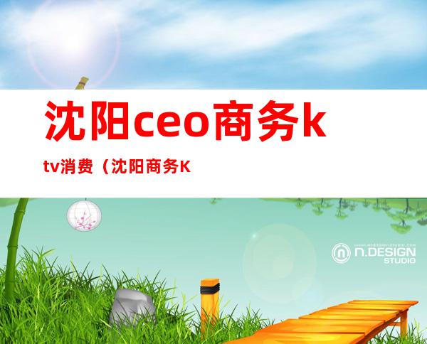 沈阳ceo商务ktv消费（沈阳商务KTV）