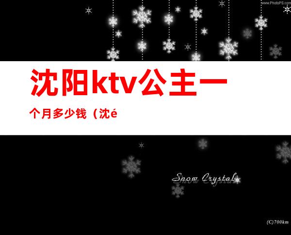 沈阳ktv公主一个月多少钱（沈阳沈北ktv公主）