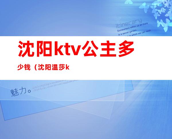 沈阳ktv公主多少钱（沈阳温莎ktv公主多少一个）