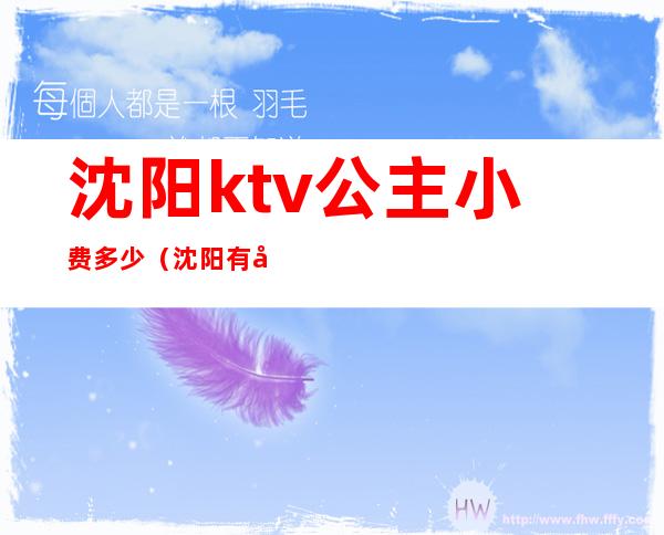 沈阳ktv公主小费多少（沈阳有公主的KTV）